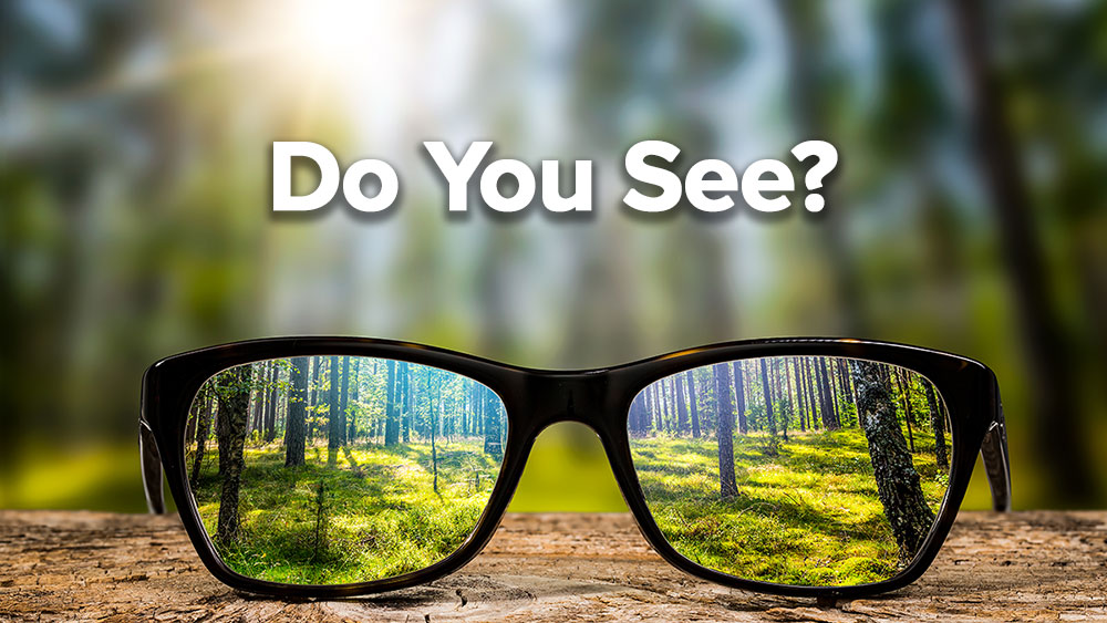 Do You See? Image