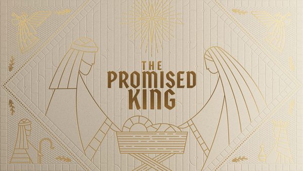 The Promised King (Part 3): In the Flesh Image